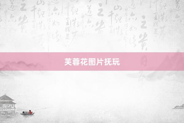 芙蓉花图片抚玩