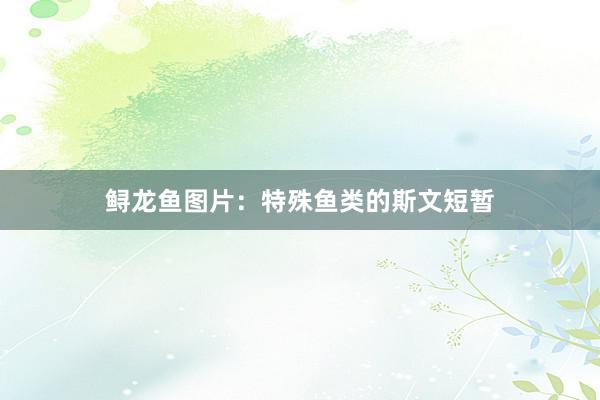 鲟龙鱼图片：特殊鱼类的斯文短暂